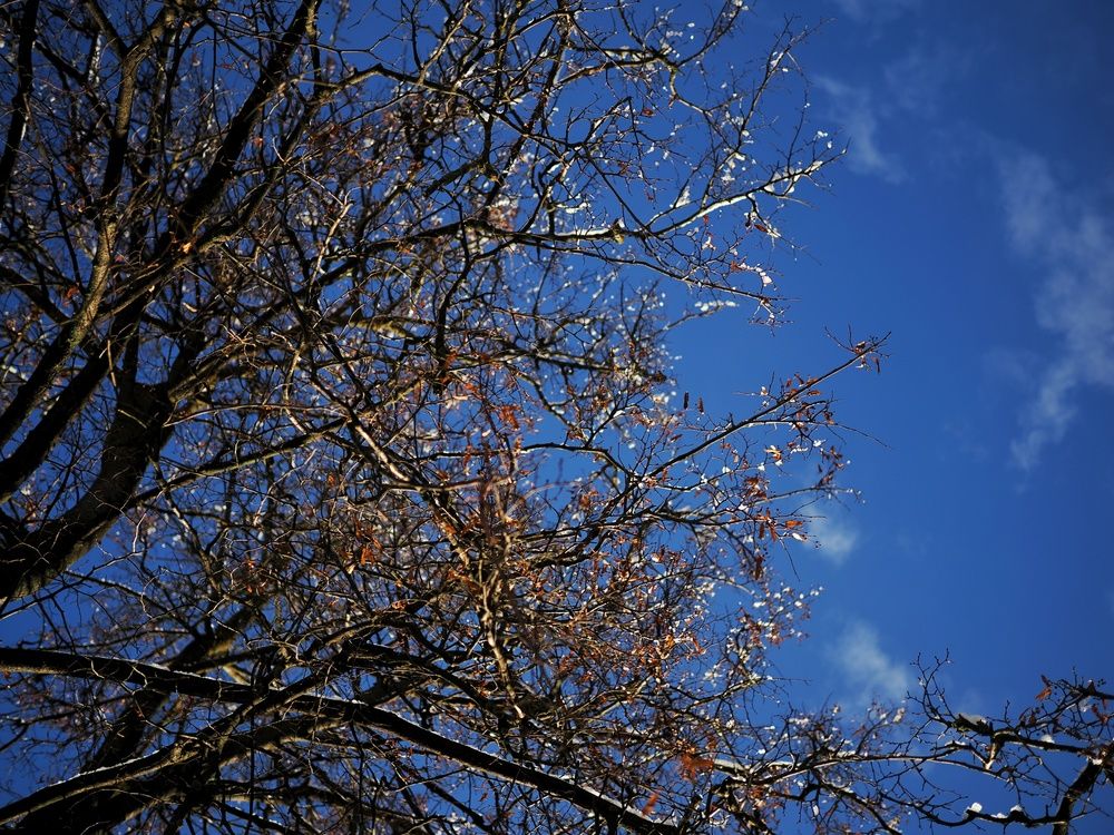 Photograph by Валерия
