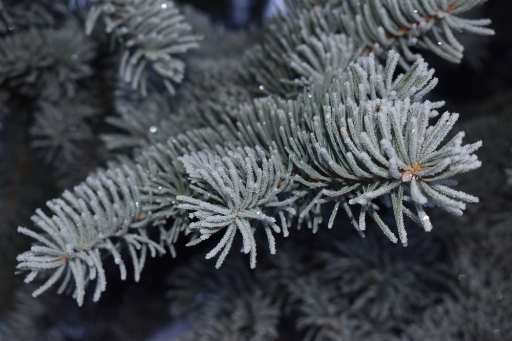 Photograph by Ксения Лебедева