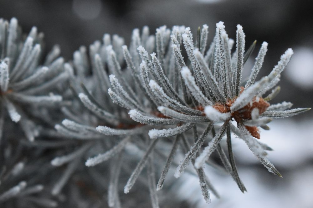 Photograph by Ксения Лебедева