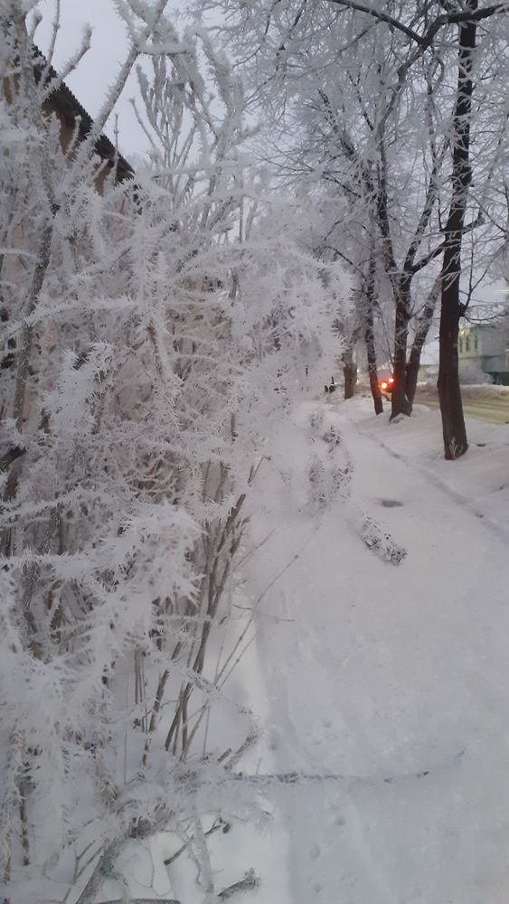 Photograph by Елена Лещева