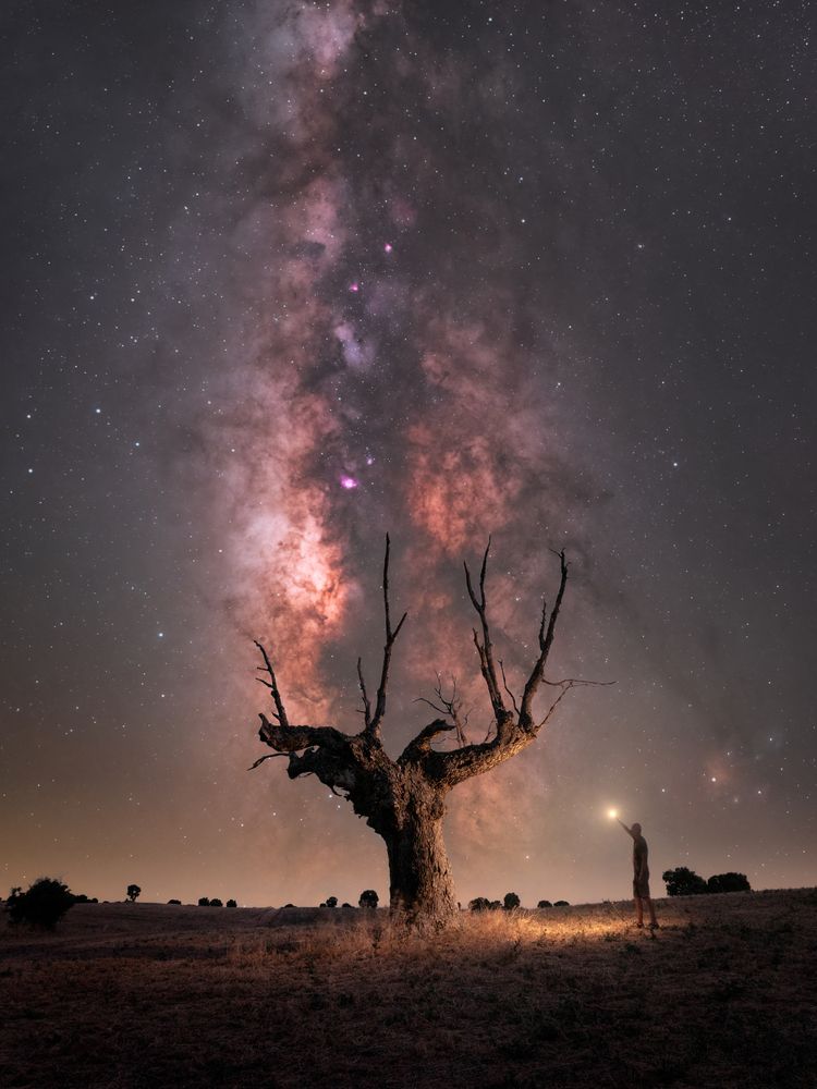 Photograph by David de la Cruz