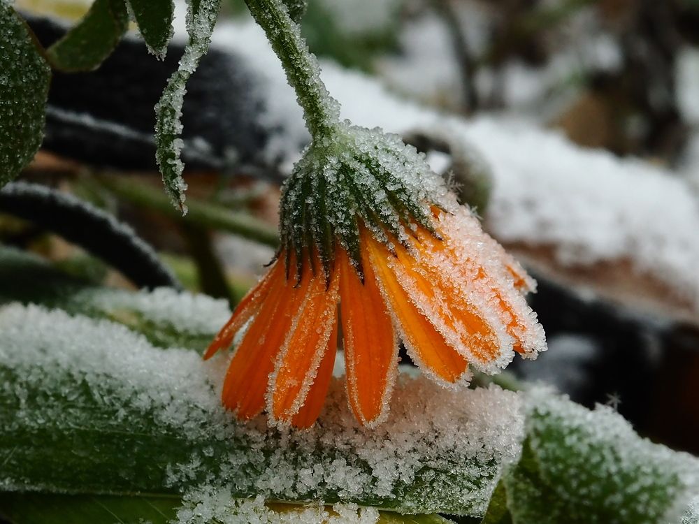 Photograph by Елена Харитонова