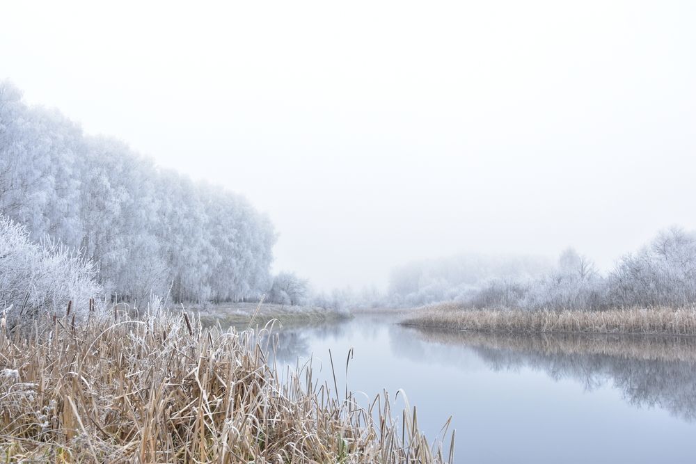 Photograph by Валерий Гудков