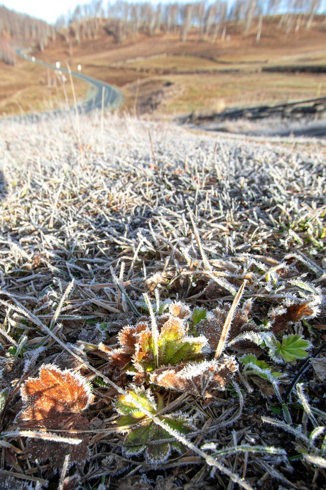 Photograph by Lapin Vitaly