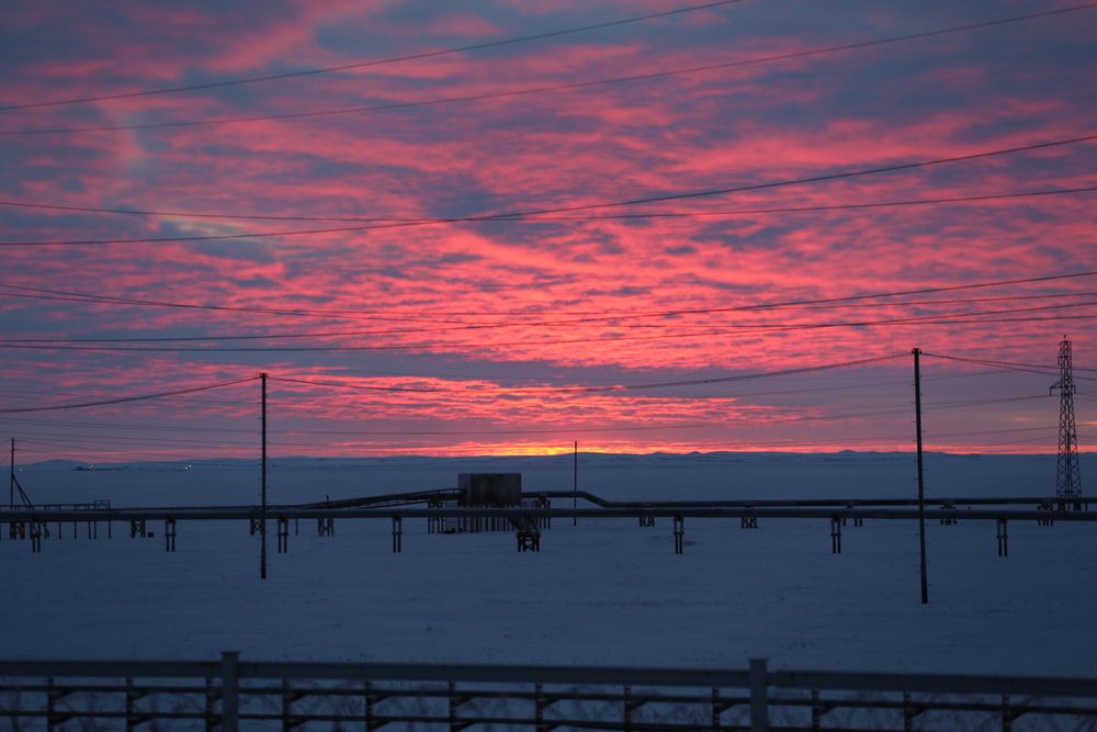 Photograph by Владимир Кулешов