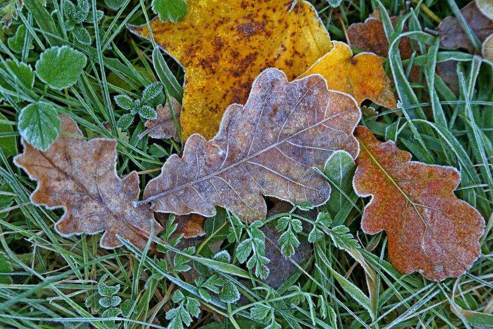 Фотография автора Александр Кожевников