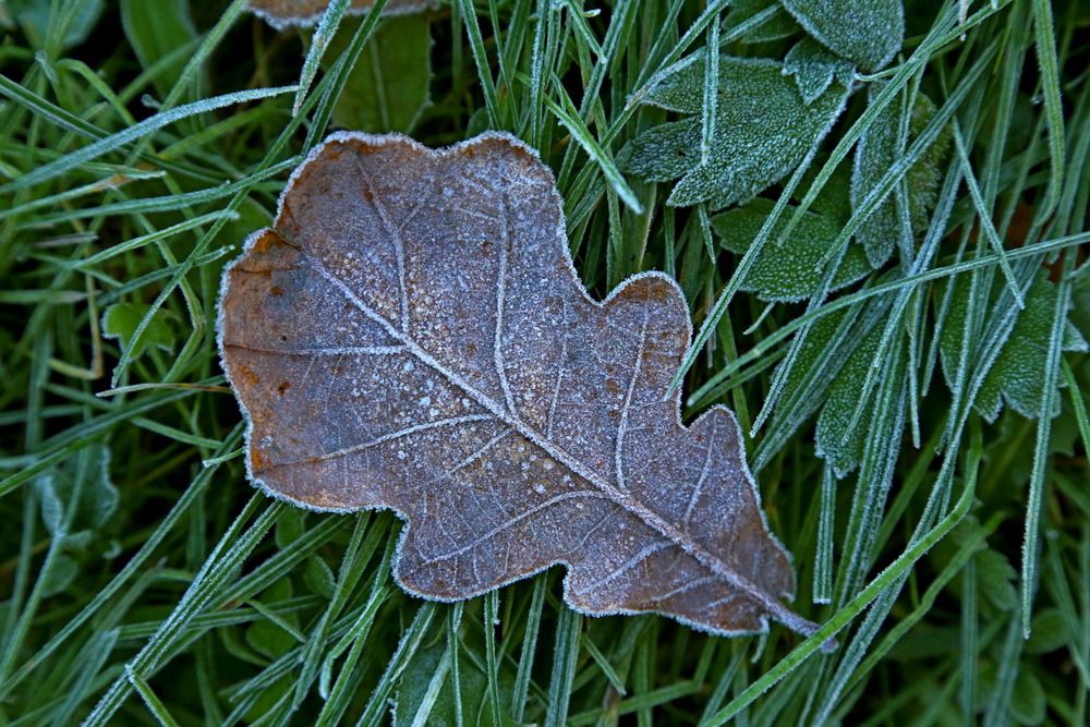 Фотография автора Александр Кожевников