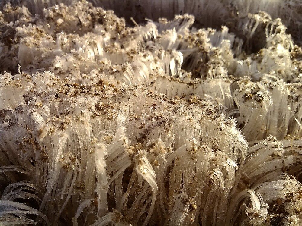 Photograph by Максим Владимирович