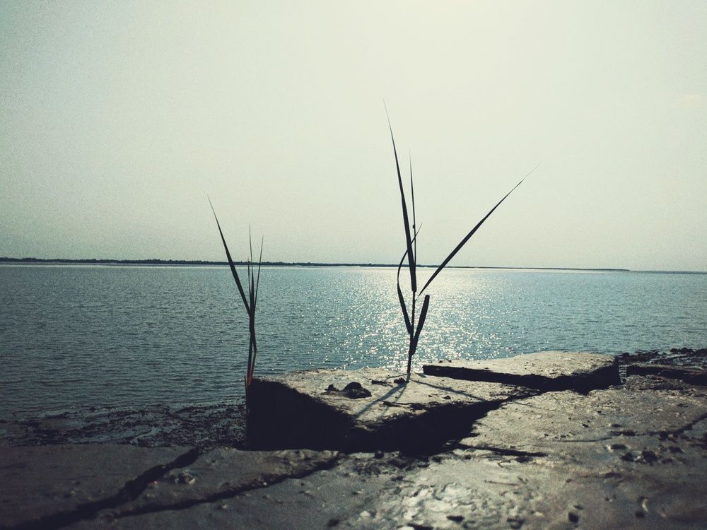 Photograph by Digonto Das
