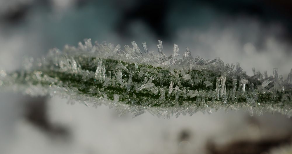 Photograph by Елена Харитонова