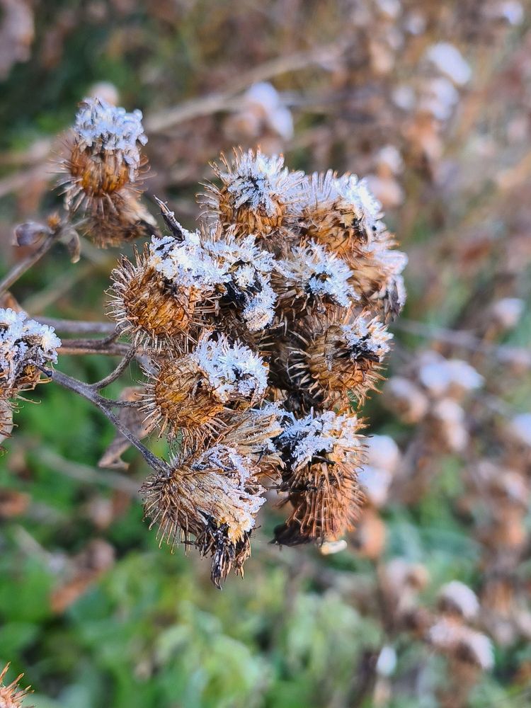 Photograph by Марина Опарина