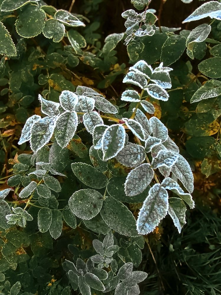 Photograph by Марина Опарина