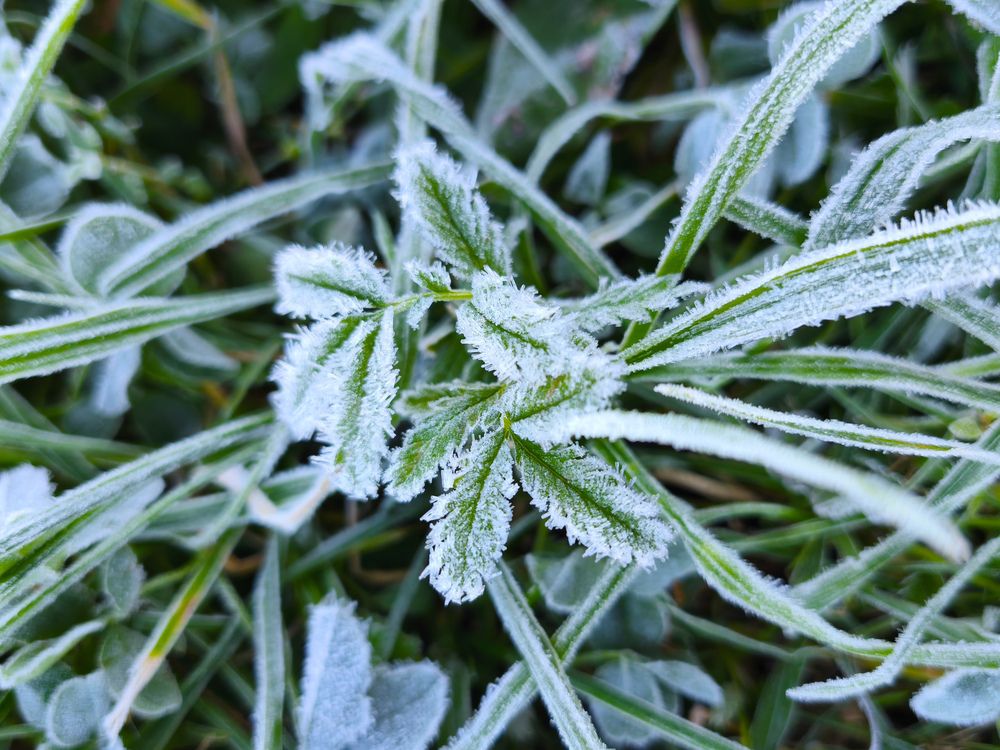 Photograph by Марина Опарина