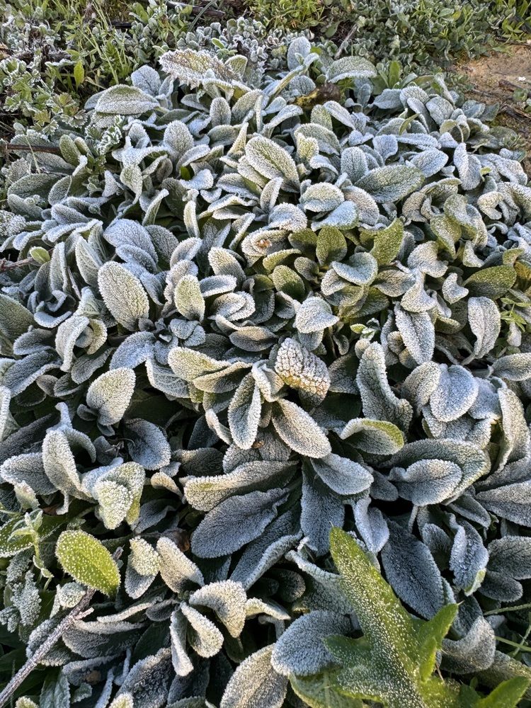 Фотография автора Büşra Bekar