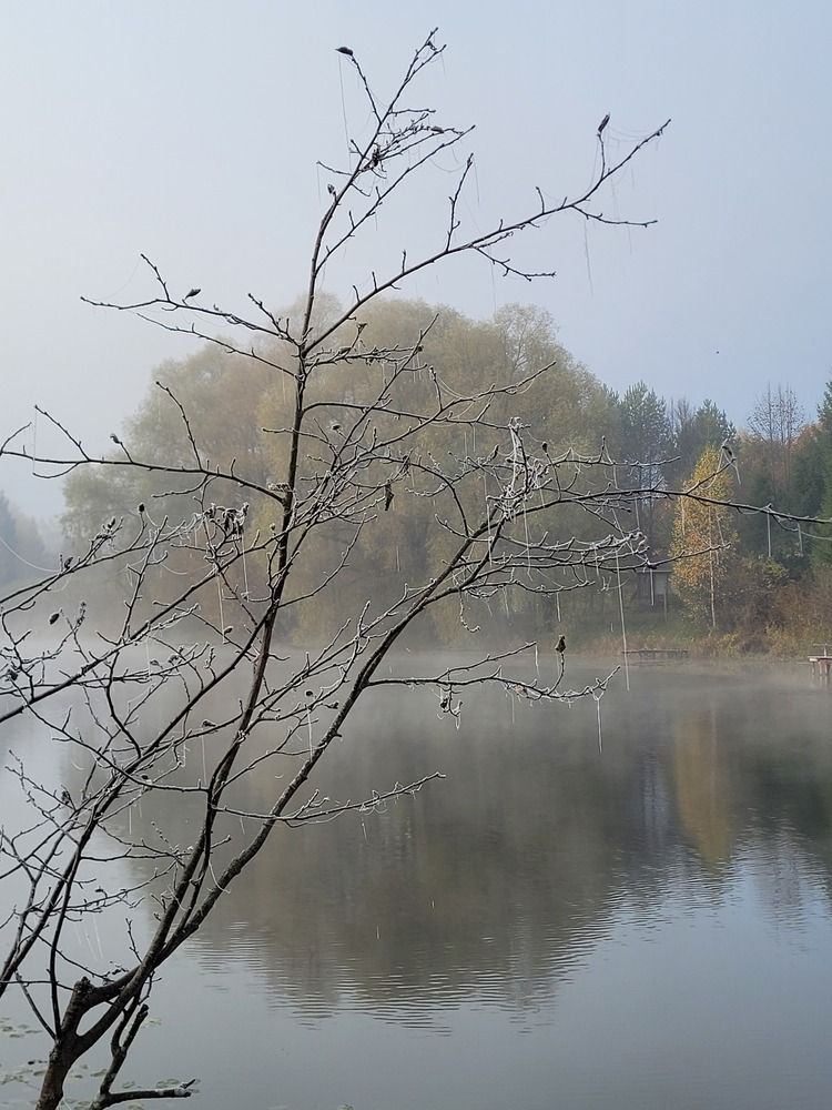 Photograph by Татьяна Глухова