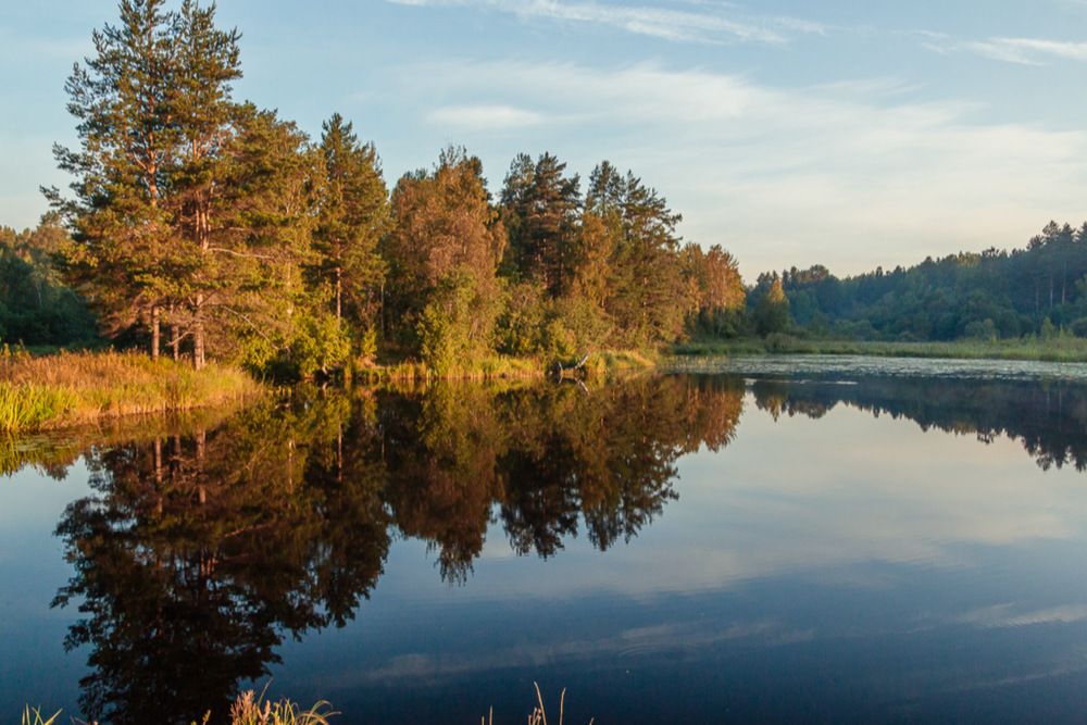 Фотография автора Антонина Кузнецова