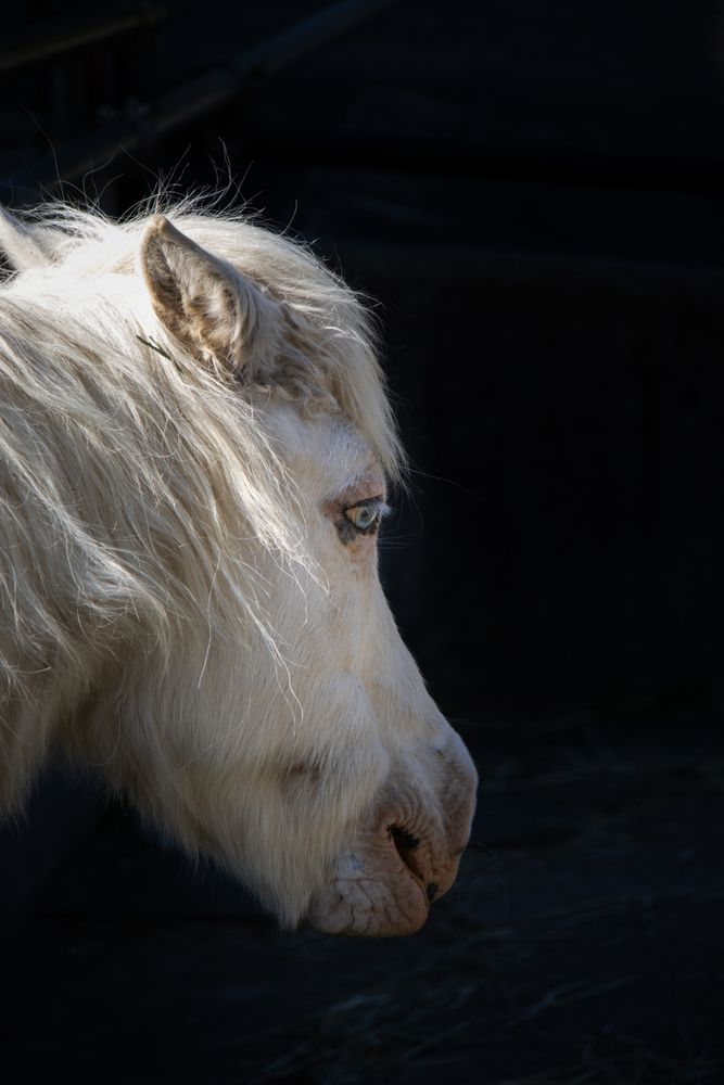 Photograph by kurodon