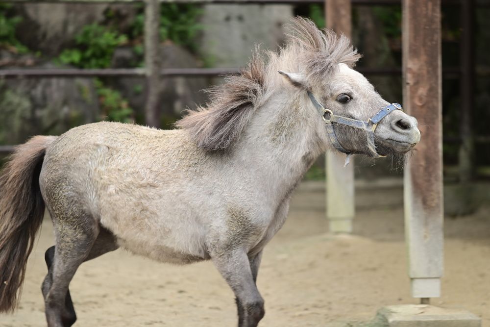 Photograph by kurodon