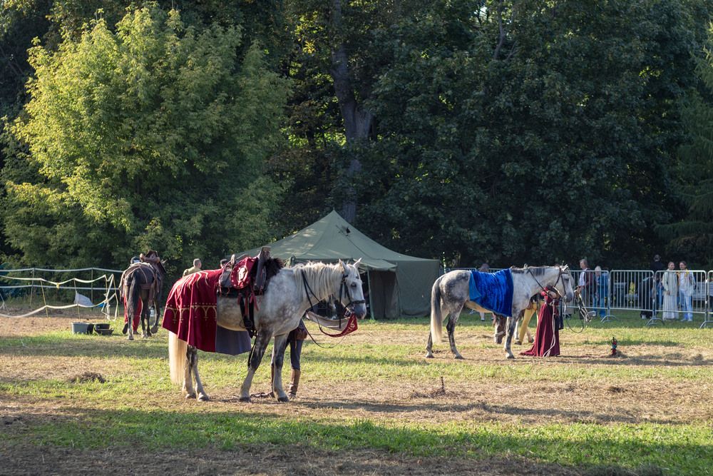 Photograph by Роман Гладкий