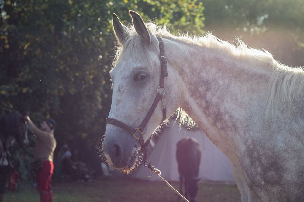 Photograph by Роман Гладкий