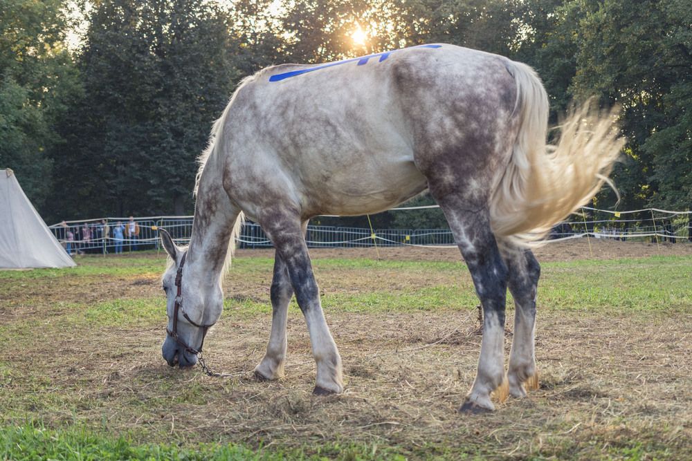 Photograph by Роман Гладкий