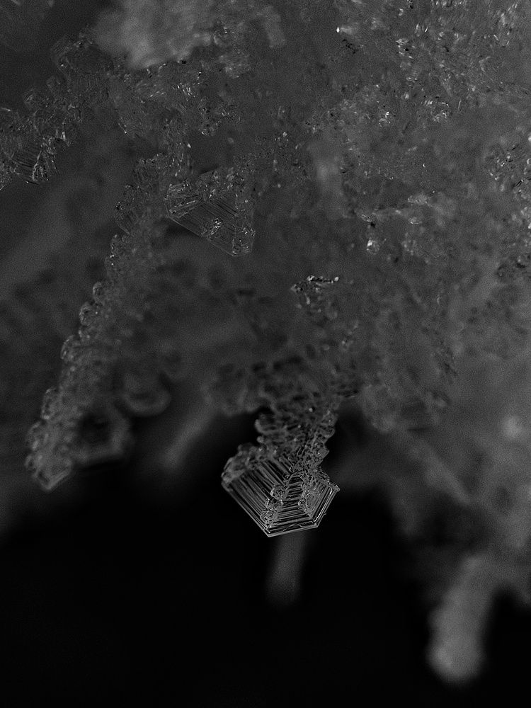 Photograph by Ehsan Fathi