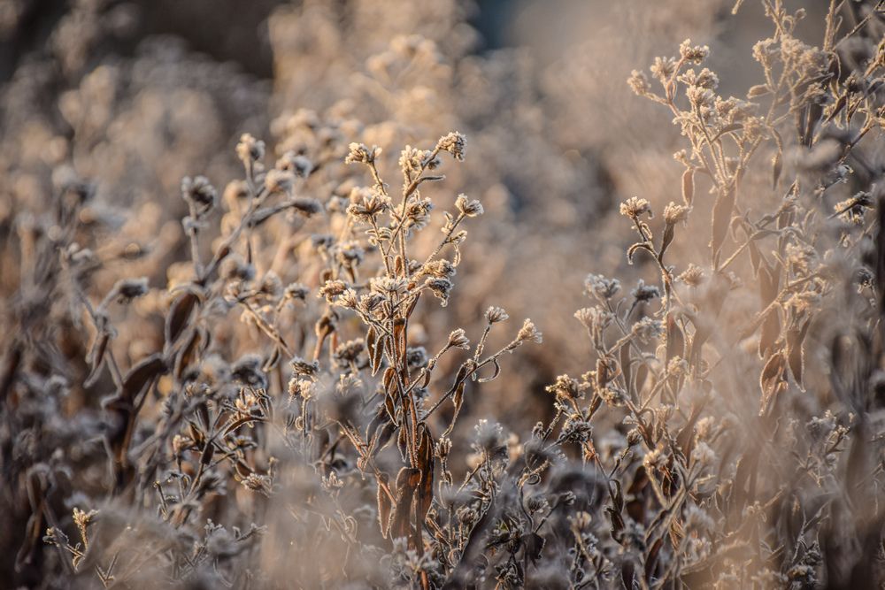 Photograph by Андрей Куракин