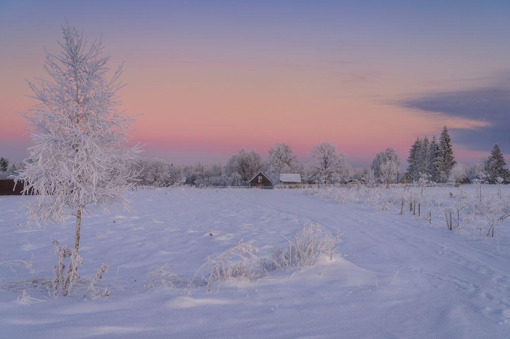 Photograph by Roman Dmitriev