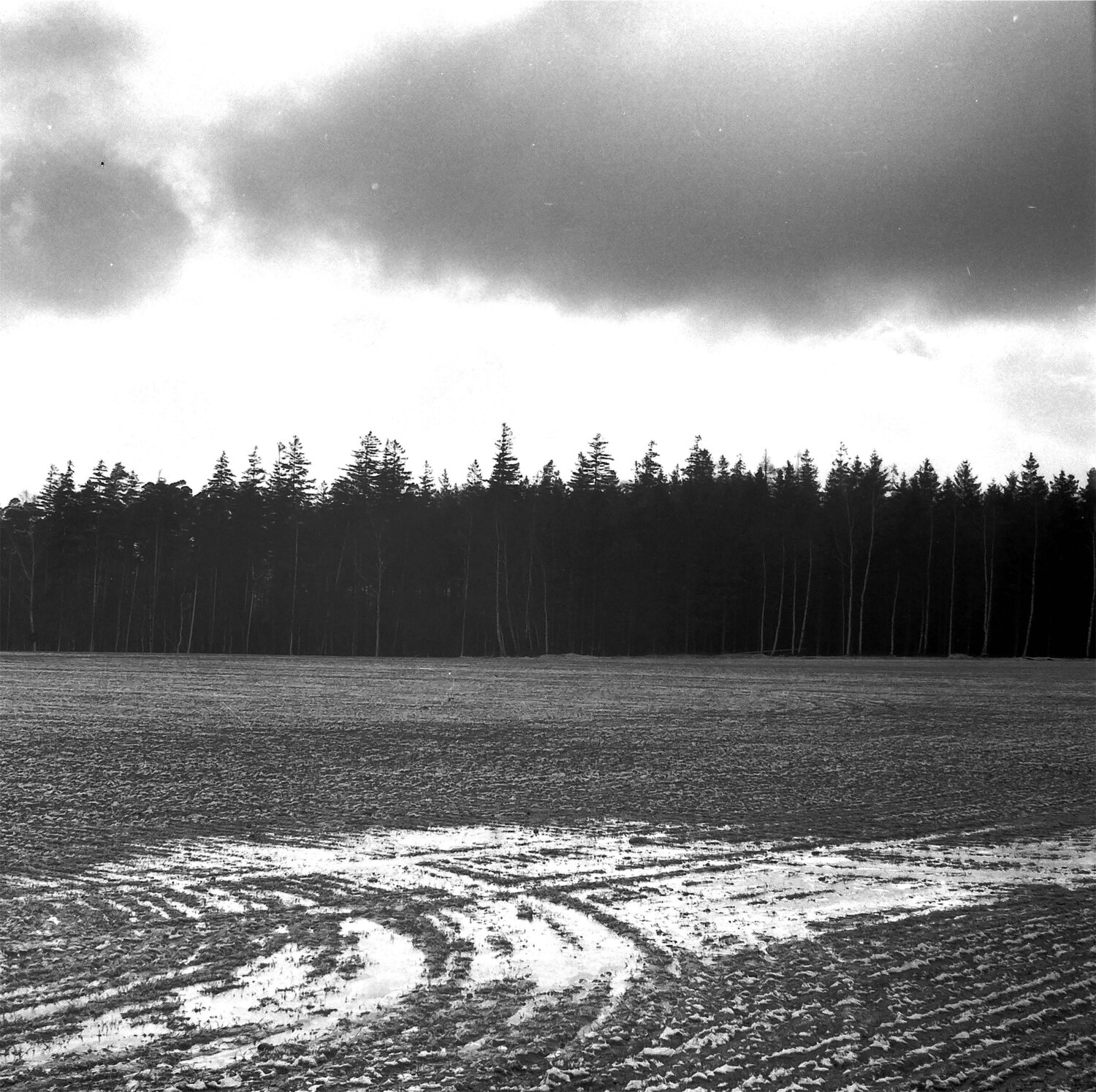Photo #13014272
