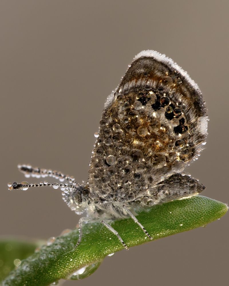 Фотография автора Jibin Kurian