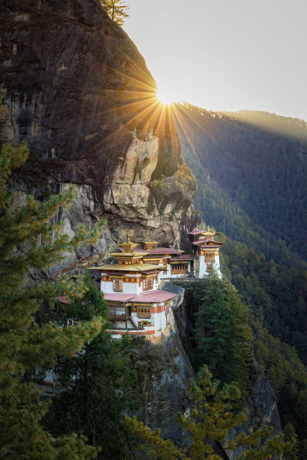 Фотография #13014289