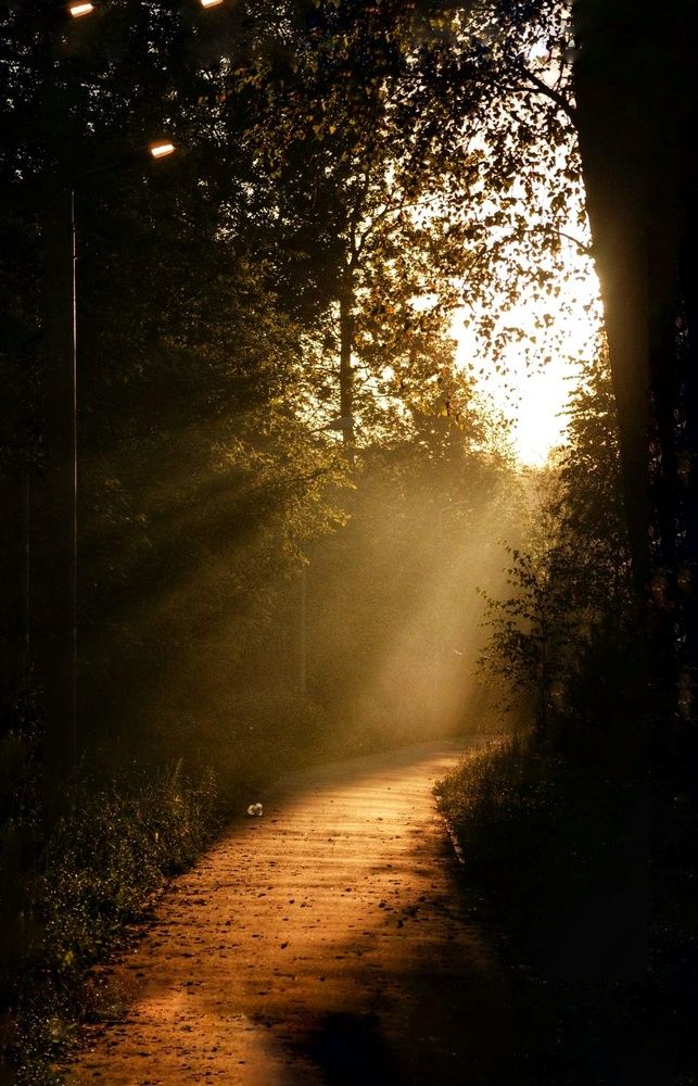 Photograph by Виктория