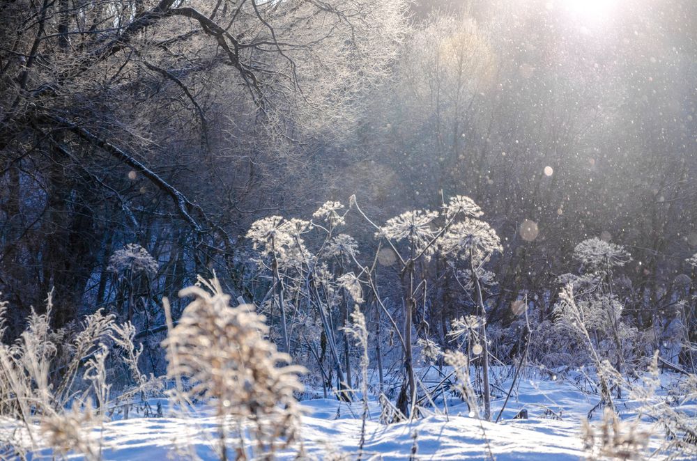 Photograph by Ольга Заповедная