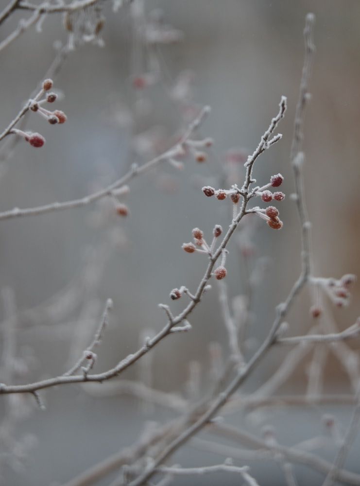 Photograph by Андрей Корытов