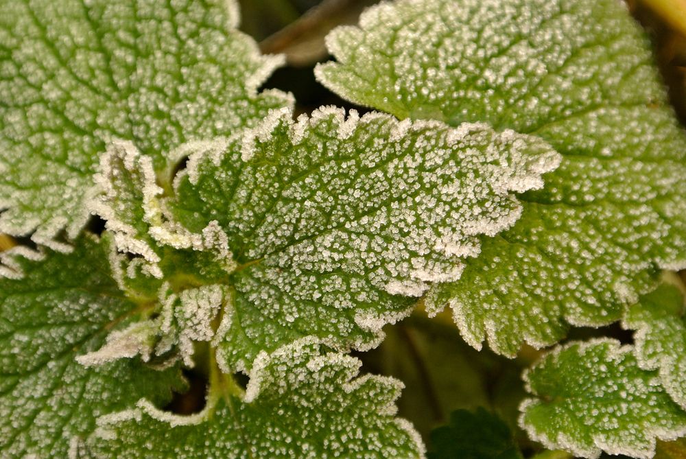 Photograph by Никита Иванов