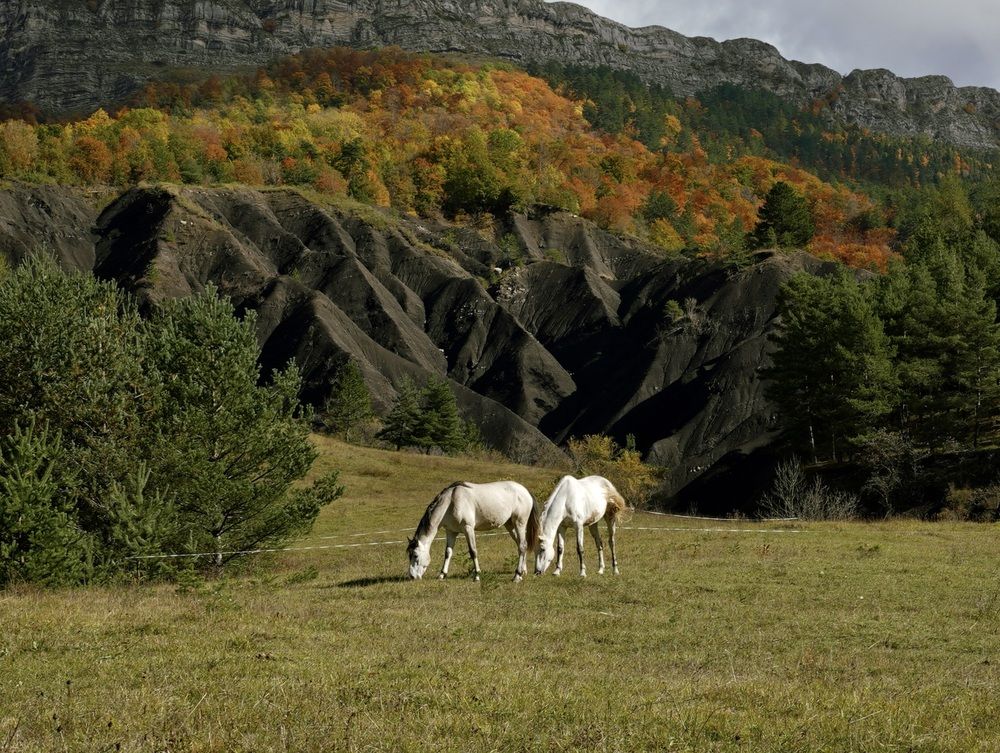 Photograph by Marina Odintsova