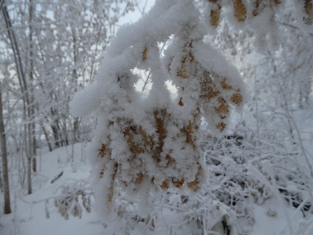 Photograph by Андрей Садчиков