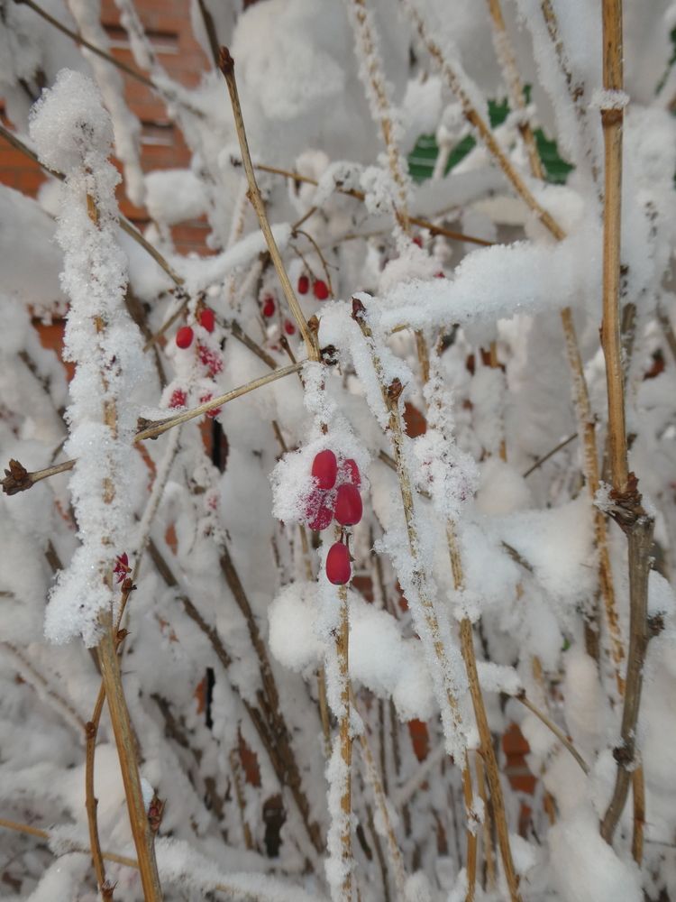 Photograph by Андрей Садчиков