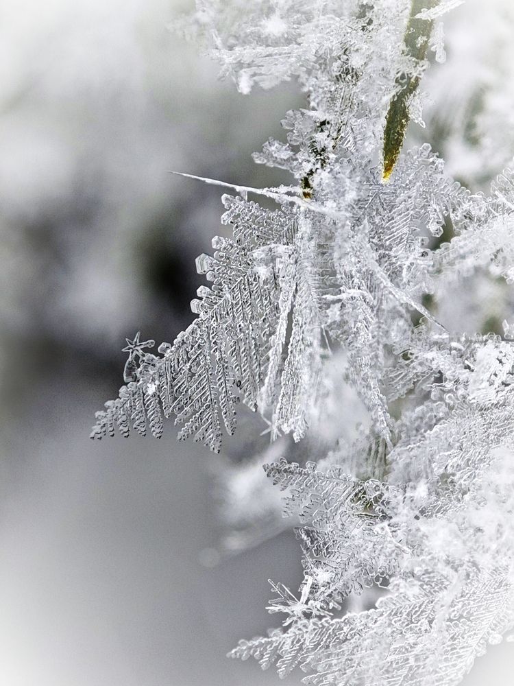 Photograph by Надежда Кангина