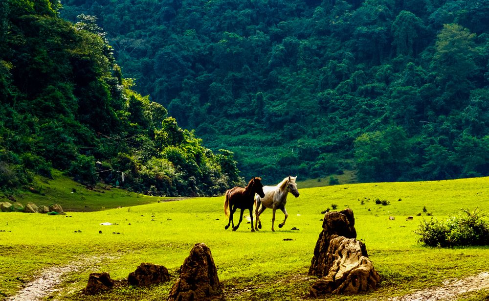 Фотография автора QUAN NGUYEN HUNG