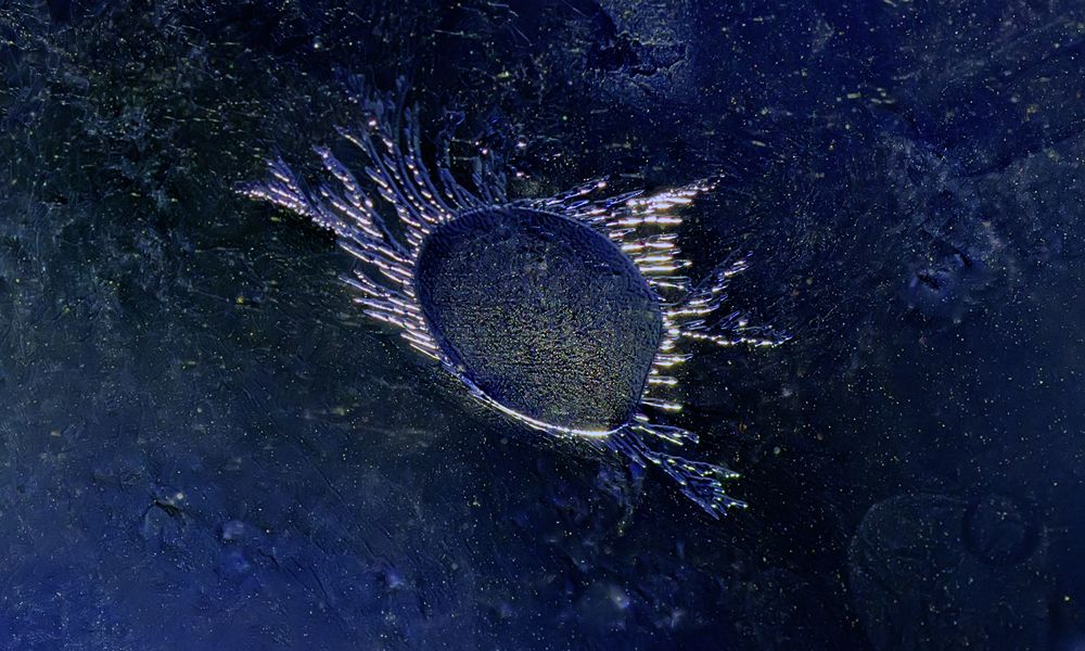 Photograph by Тараненко Анжелика