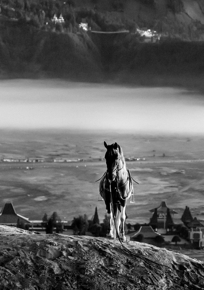 Фотография автора QUAN NGUYEN HUNG