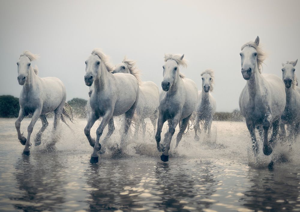 Photograph by Cigdem AYYILDIZ