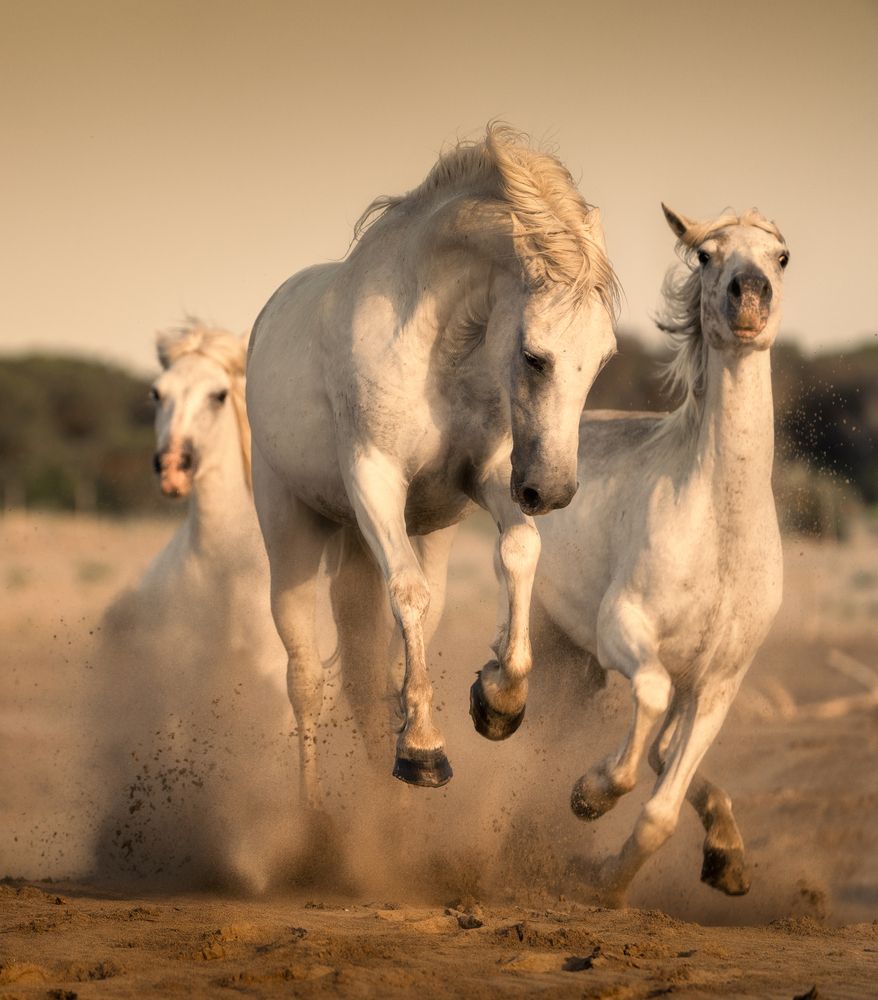 Photograph by Cigdem AYYILDIZ