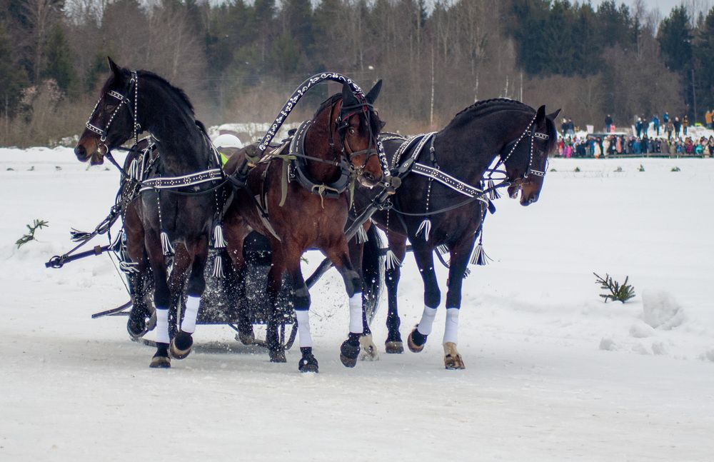 Фотография автора Наталья Липовская