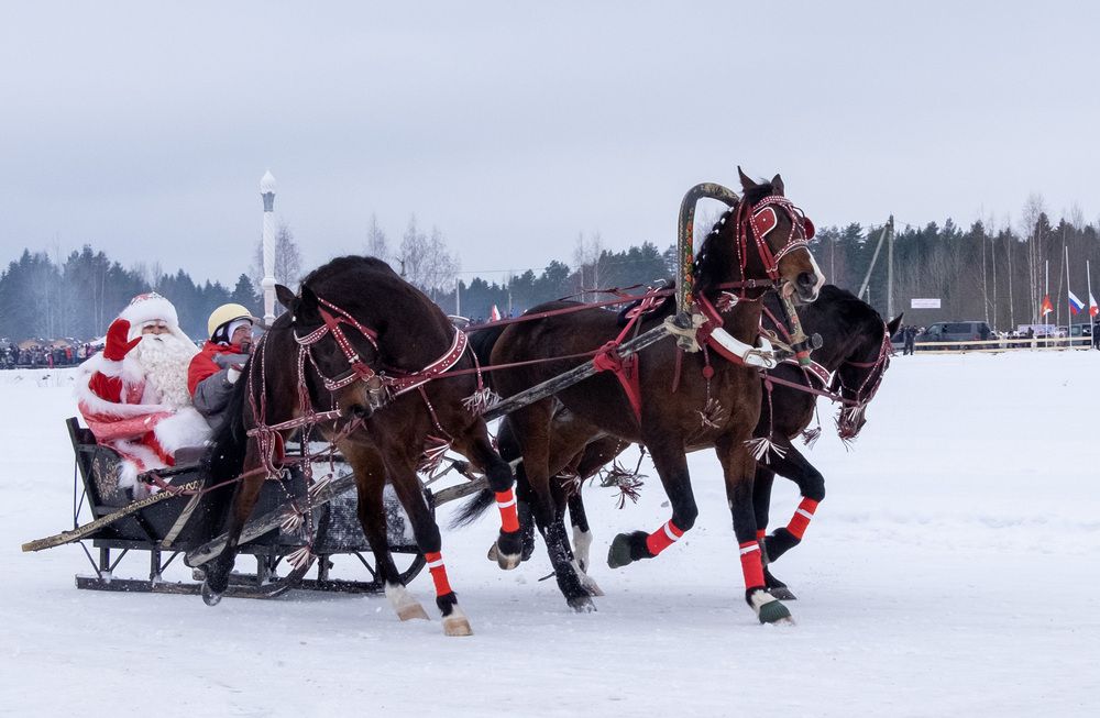 Фотография автора Наталья Липовская