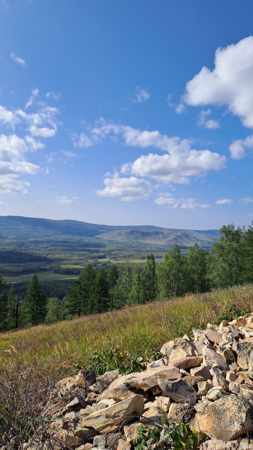 Photo #13014688