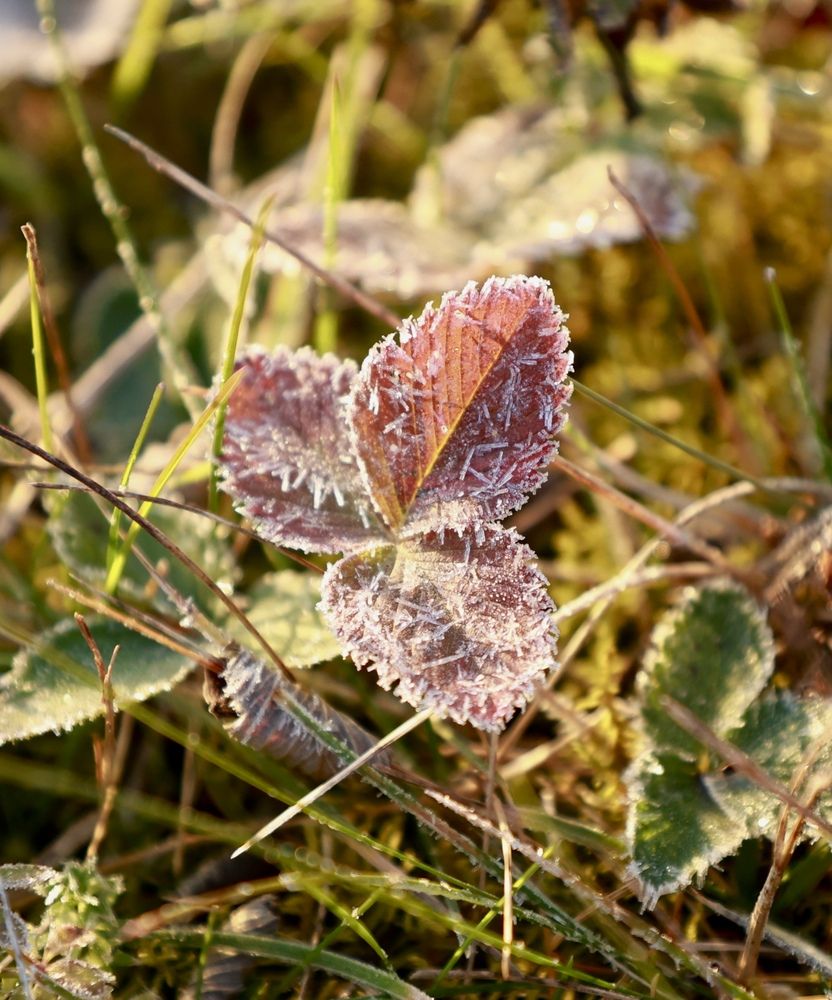 Photograph by Kseniya Yasyuchenya