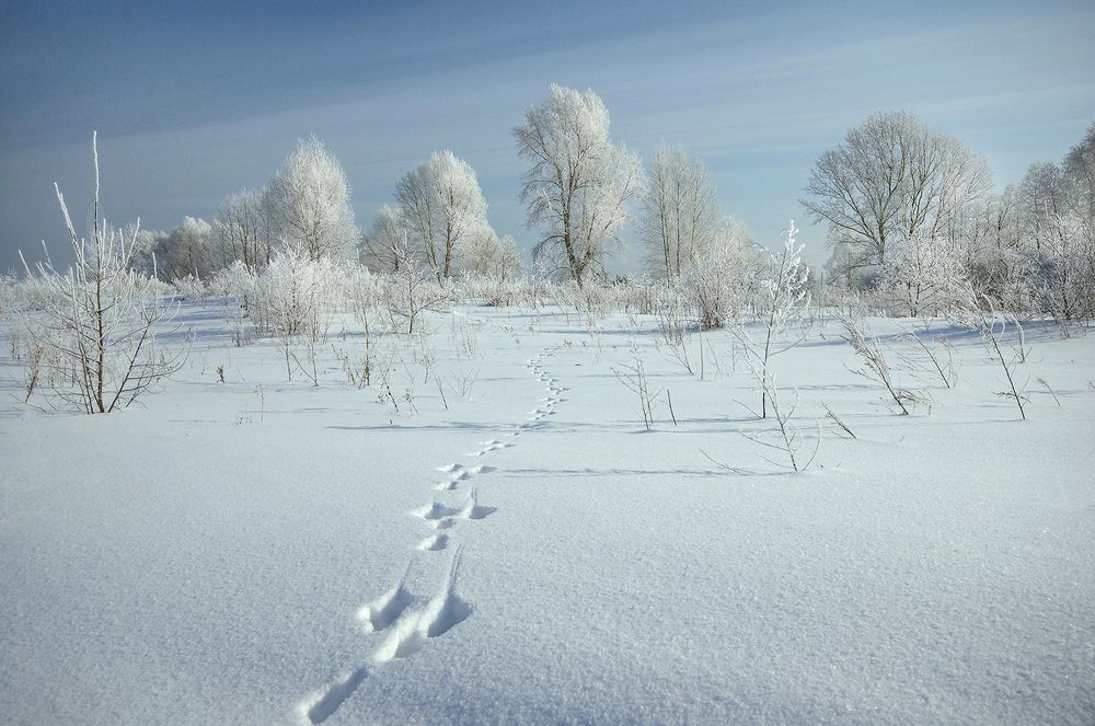 Photograph by Чичкин Валерий