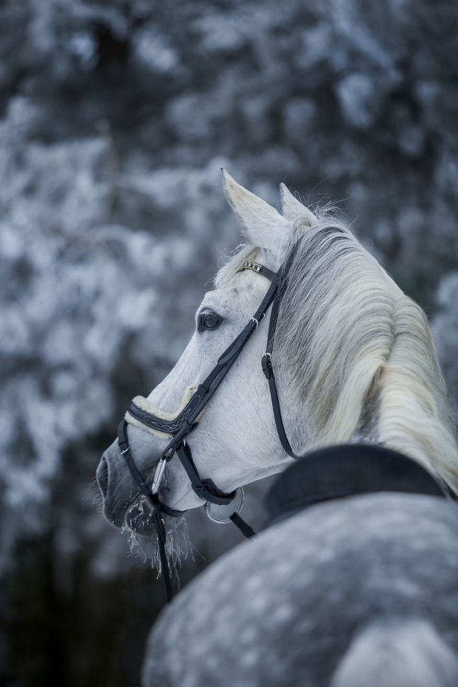 Photograph by Ольга Мазурова